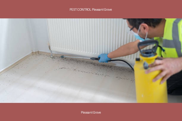 PEST CONTROL Pleasant Grove
